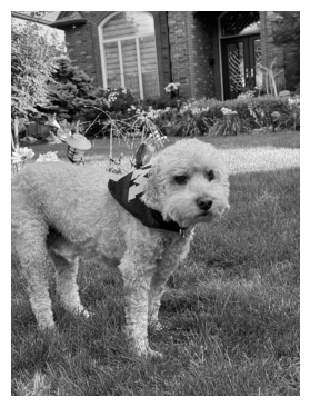 <Figure size 600x450 with 1 Axes>